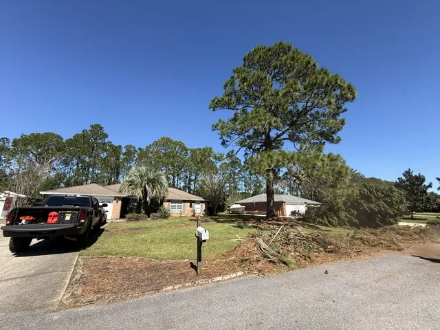 After: front yard after storm cleanup