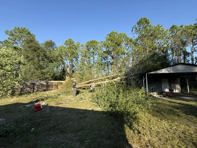 Crew cutting up a pine that fell across a carport